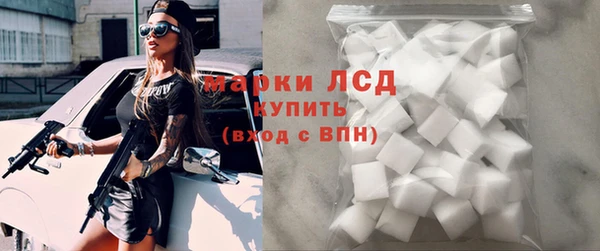 индика Вяземский