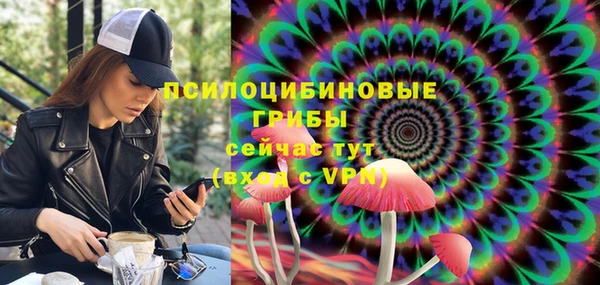 ешки Вязьма