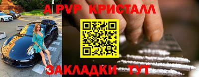 прущие грибы Новозыбков