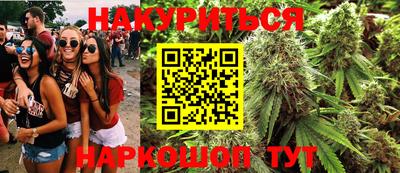 прущие грибы Новозыбков