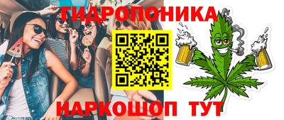 бошки Новодвинск