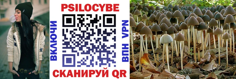 Галлюциногенные грибы Psilocybe  Тула 