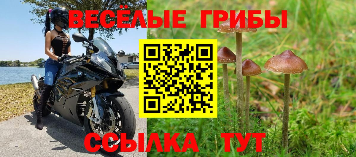 Псилоцибиновые грибы MAGIC MUSHROOMS Тула